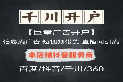 SEM专员案例：数据分析与优化